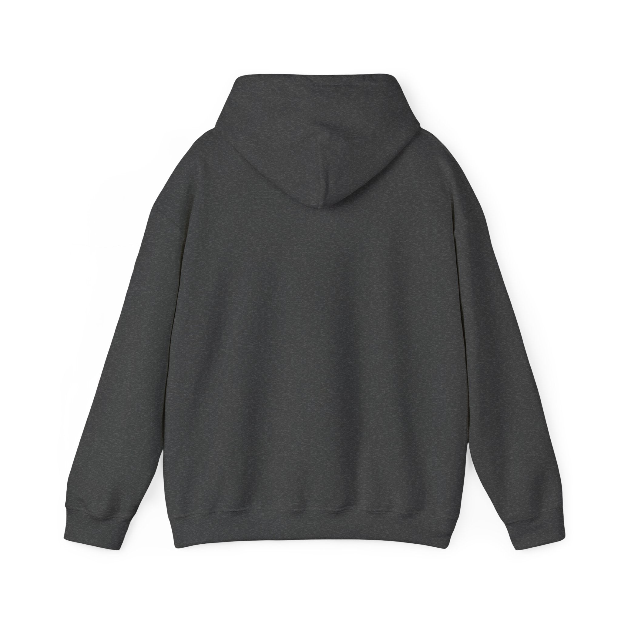 Island SPACE Caribbean Museum Hoodie – Colorful Logo Pullover