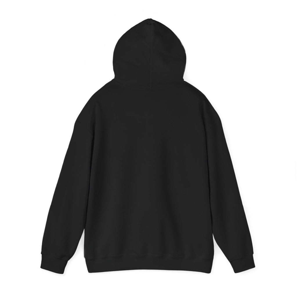 Island SPACE Caribbean Museum Hoodie – Colorful Logo Pullover