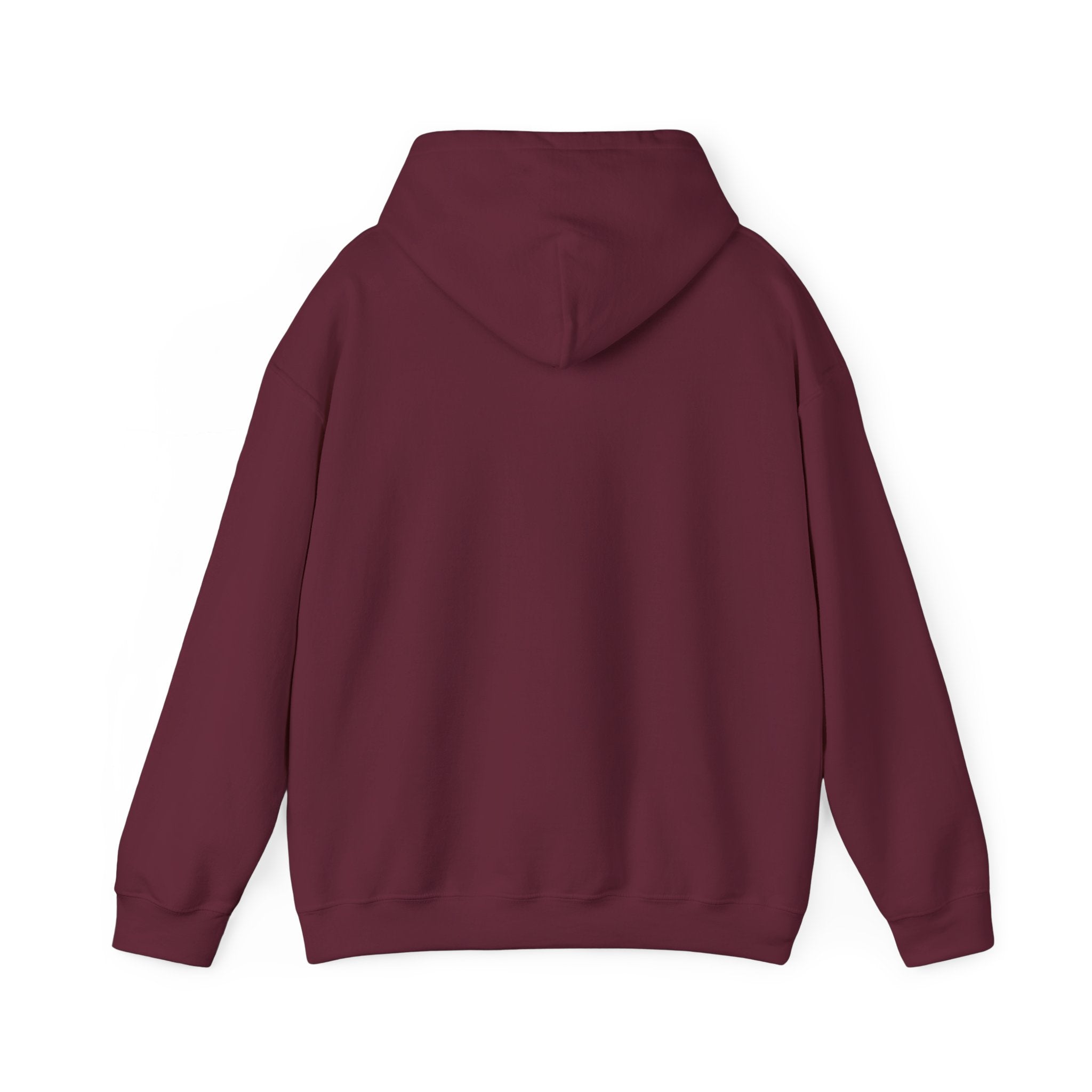 Island SPACE Caribbean Museum Hoodie – Colorful Logo Pullover