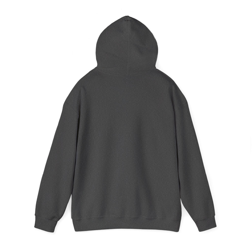 Island SPACE Caribbean Museum Hoodie – Colorful Logo Pullover