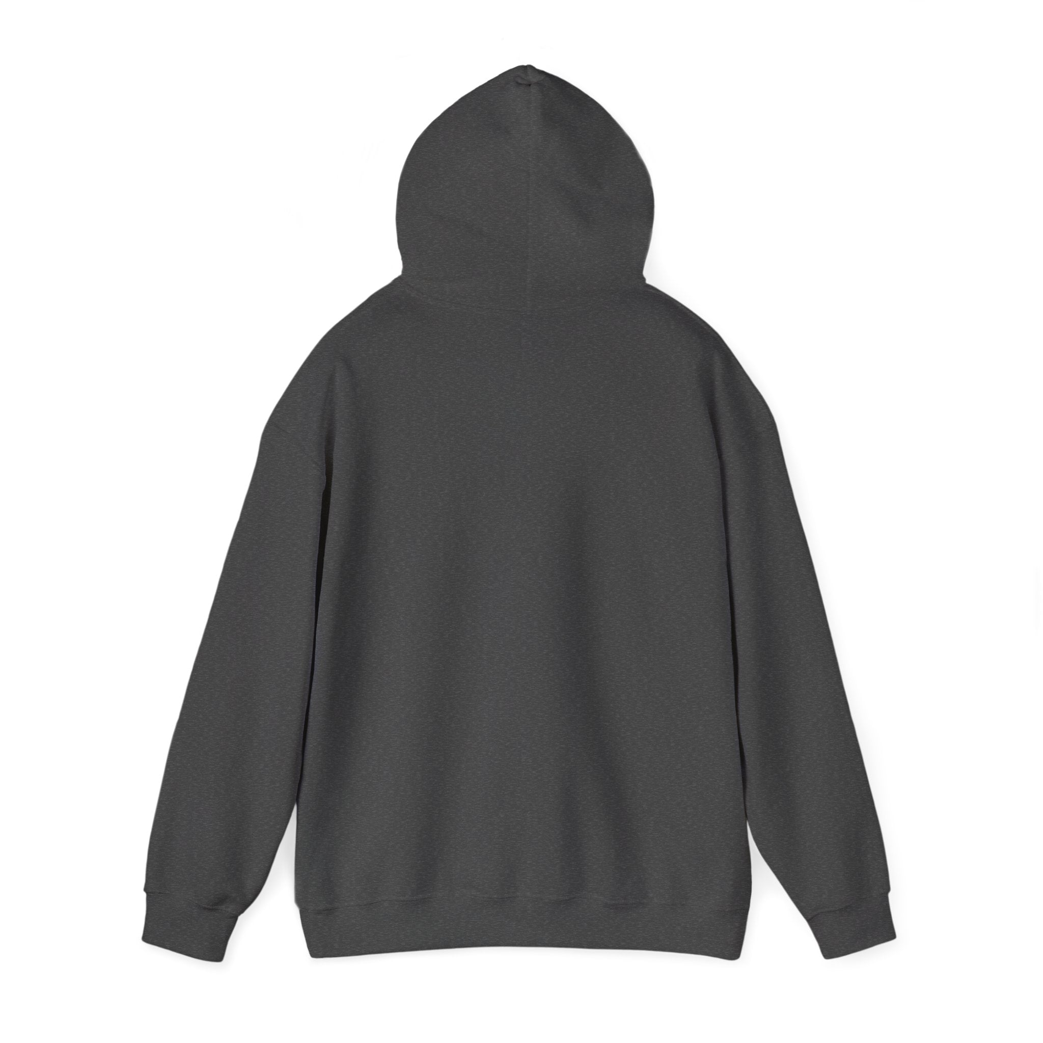 Island SPACE Caribbean Museum Hoodie – Colorful Logo Pullover