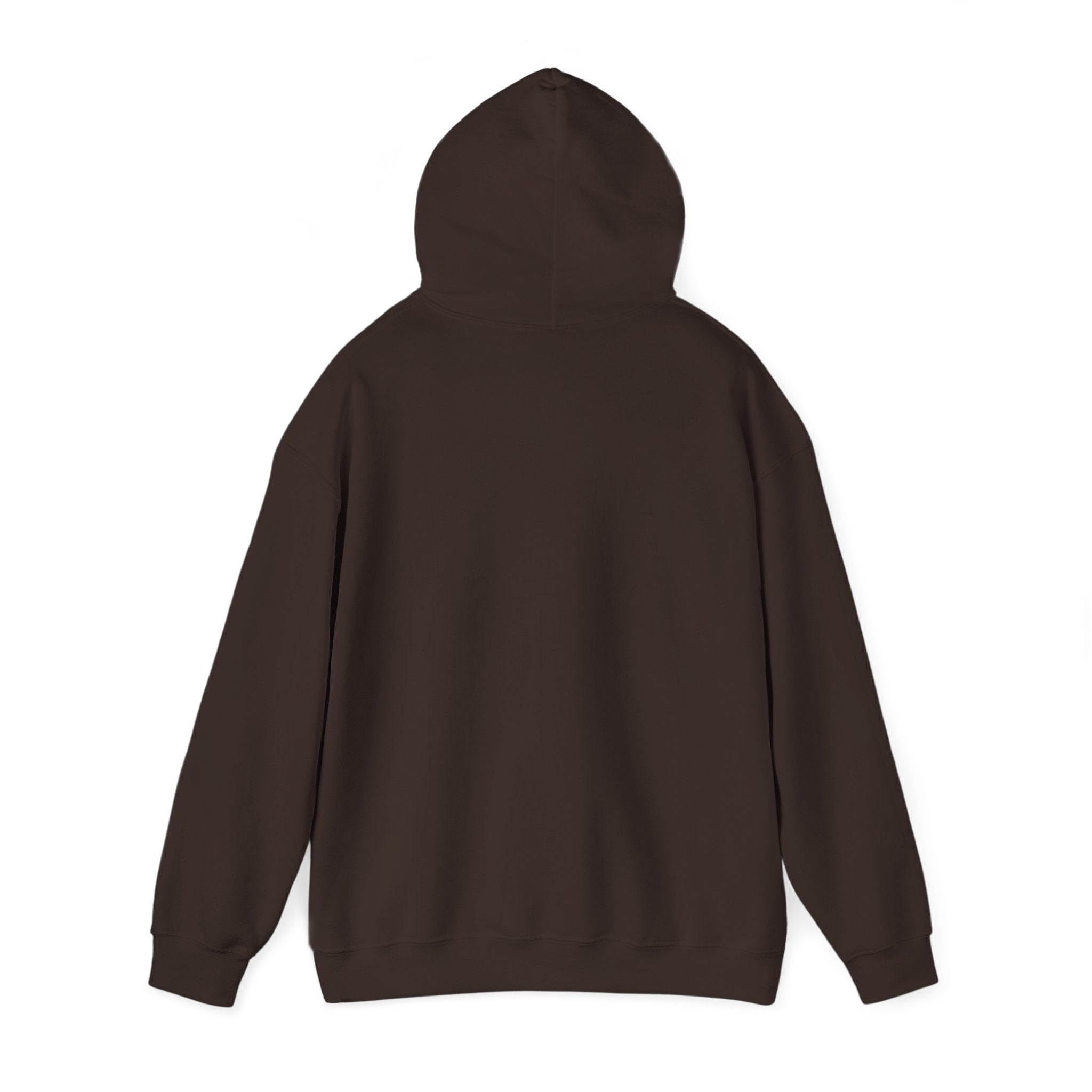 Island SPACE Caribbean Museum Hoodie – Colorful Logo Pullover
