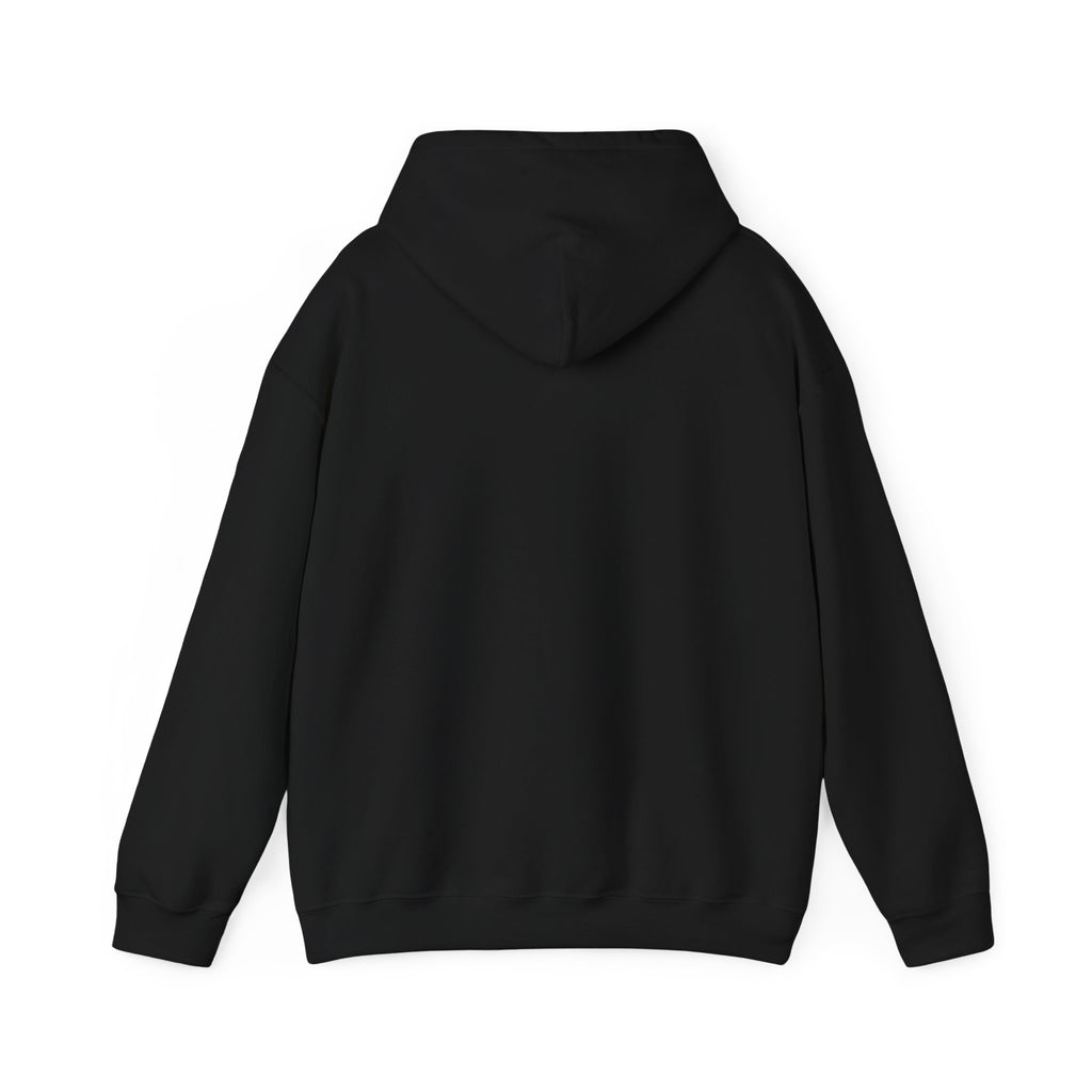 Island SPACE Caribbean Museum Hoodie – Colorful Logo Pullover