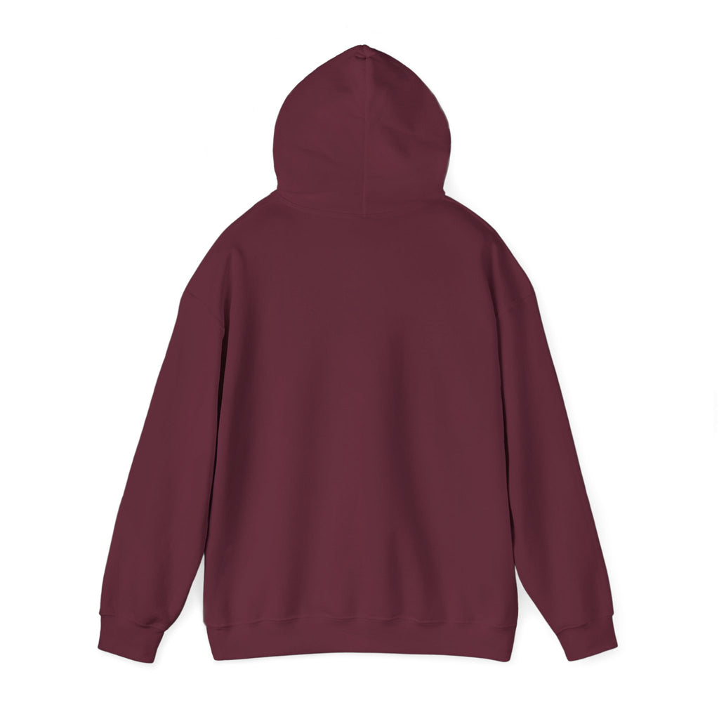 Island SPACE Caribbean Museum Hoodie – Colorful Logo Pullover