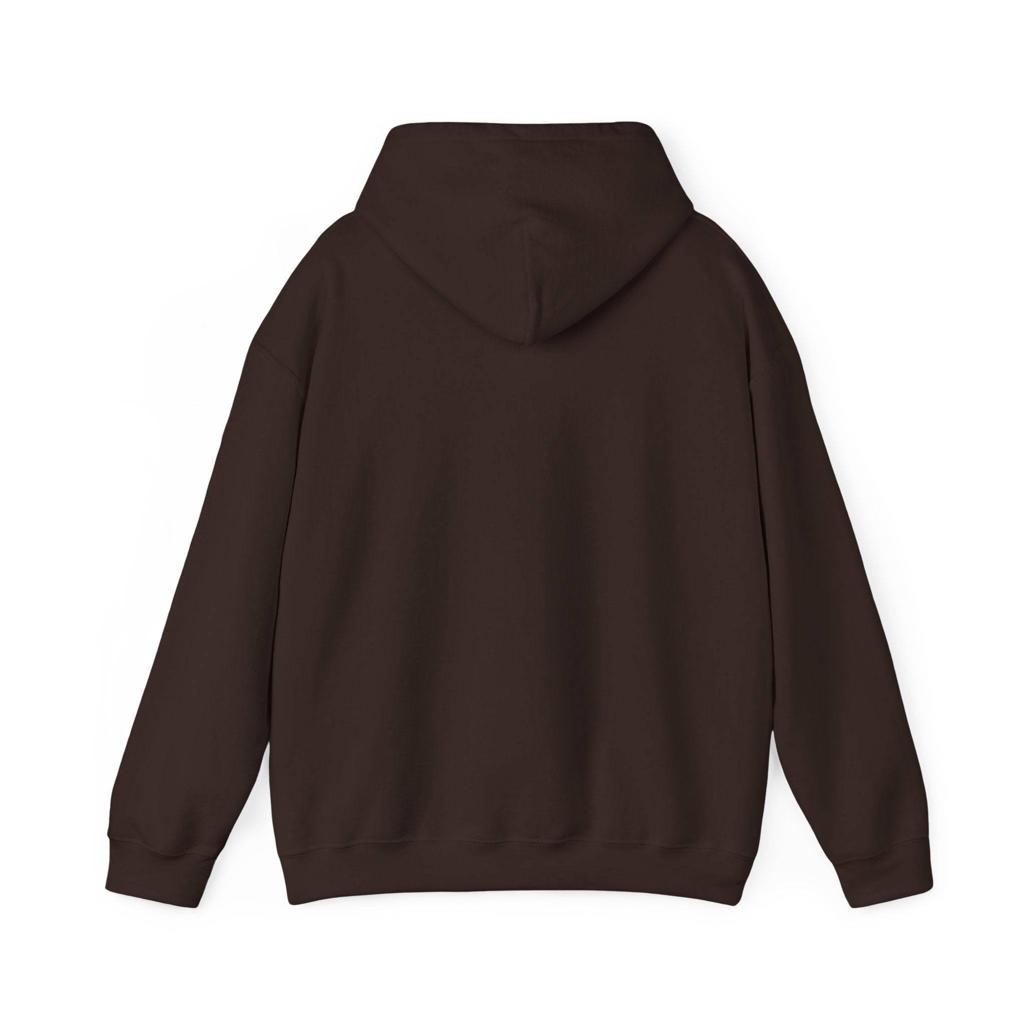 Island SPACE Caribbean Museum Hoodie – Colorful Logo Pullover