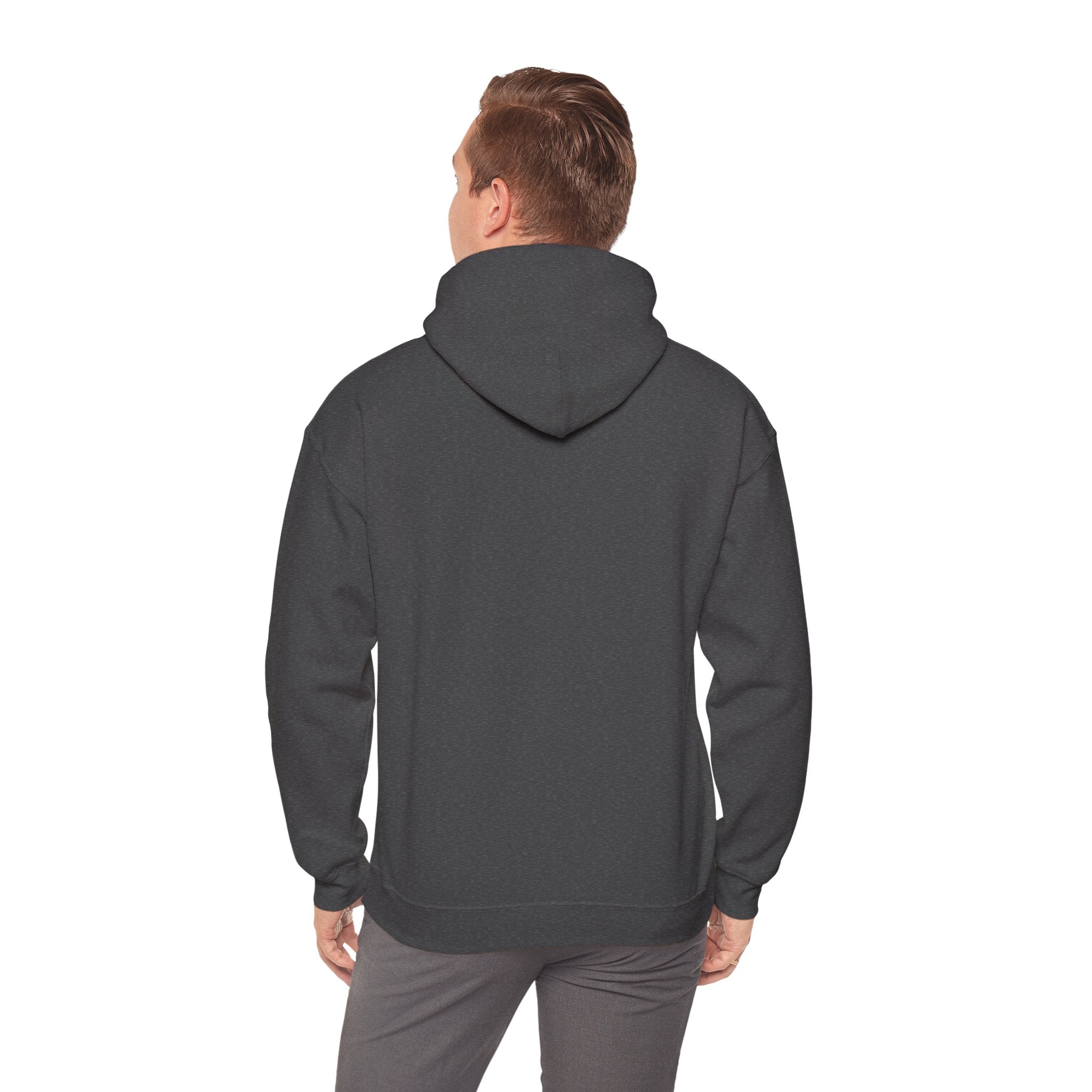 Island SPACE Caribbean Museum Hoodie – Colorful Logo Pullover