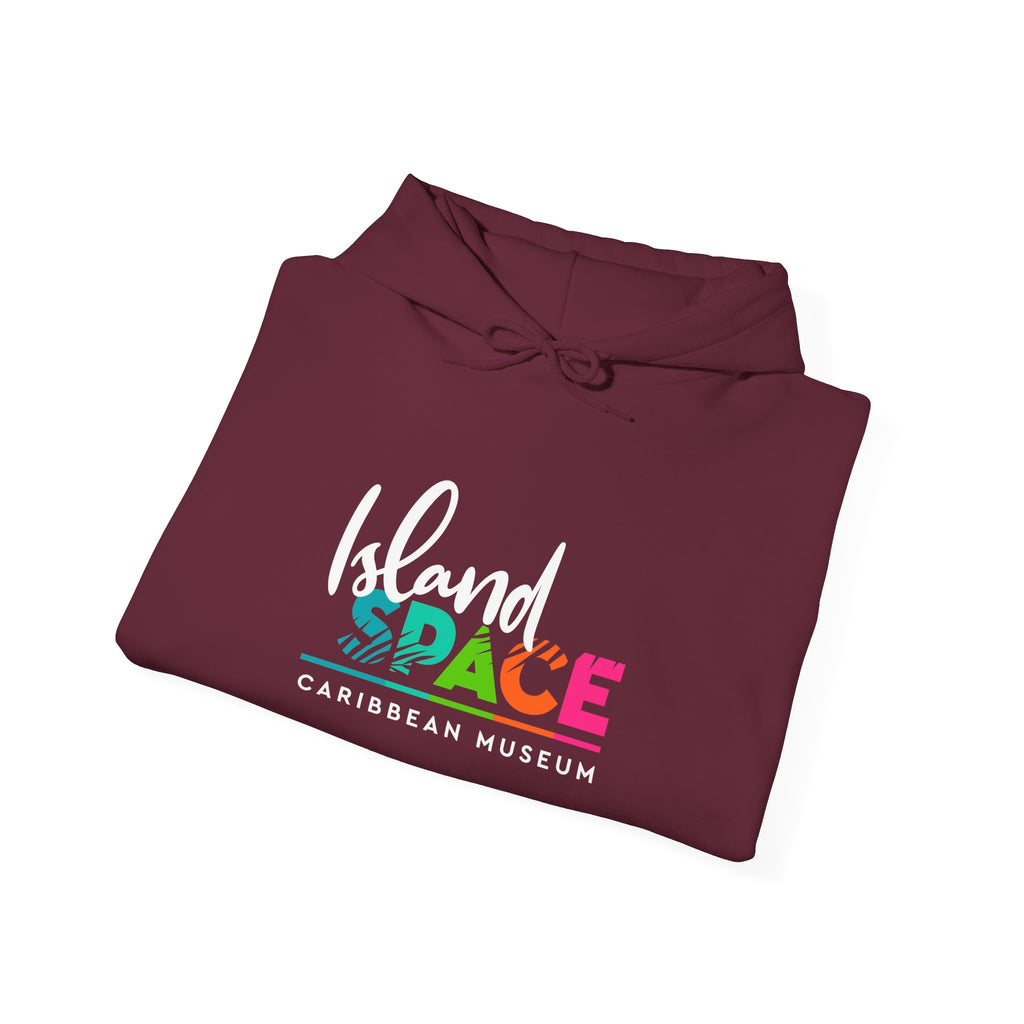 Island SPACE Caribbean Museum Hoodie – Colorful Logo Pullover