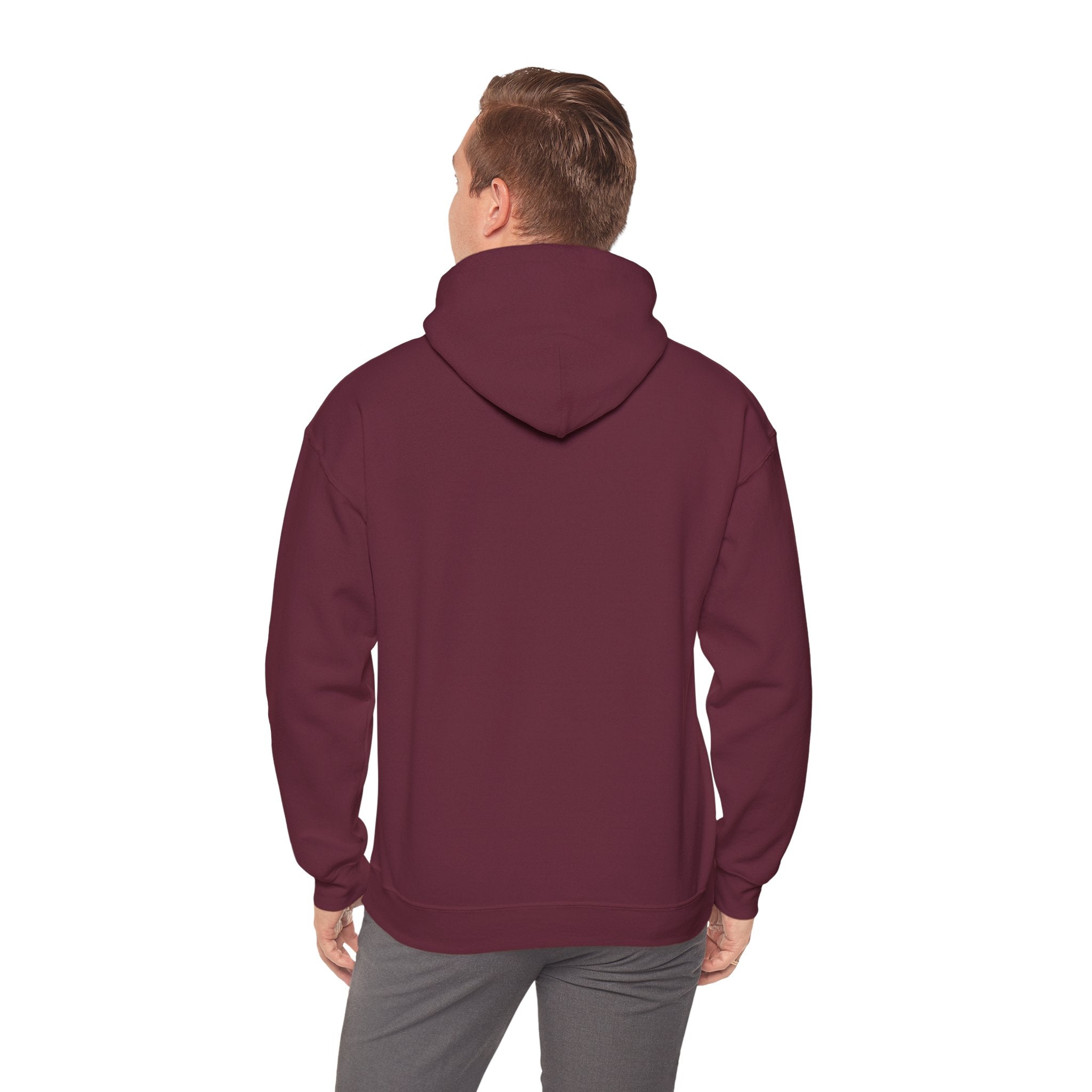 Island SPACE Caribbean Museum Hoodie – Colorful Logo Pullover